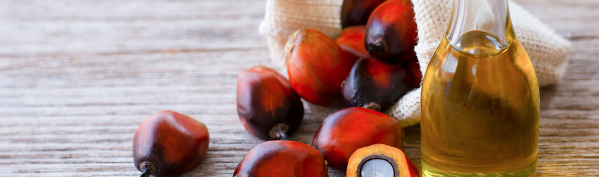 Company Information - AEP Nusantara Plantations