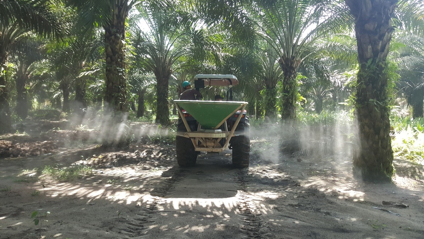 Mechanisation for Improved Productivity at PT AEPNP