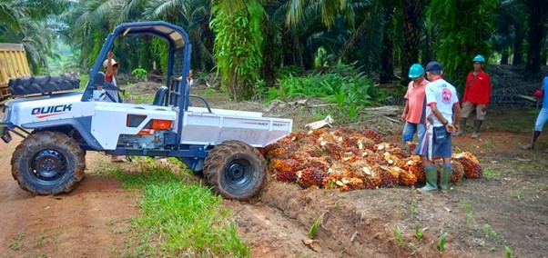 Mechanical Evacuation of FFB at PT AEPNP using 'Quick'