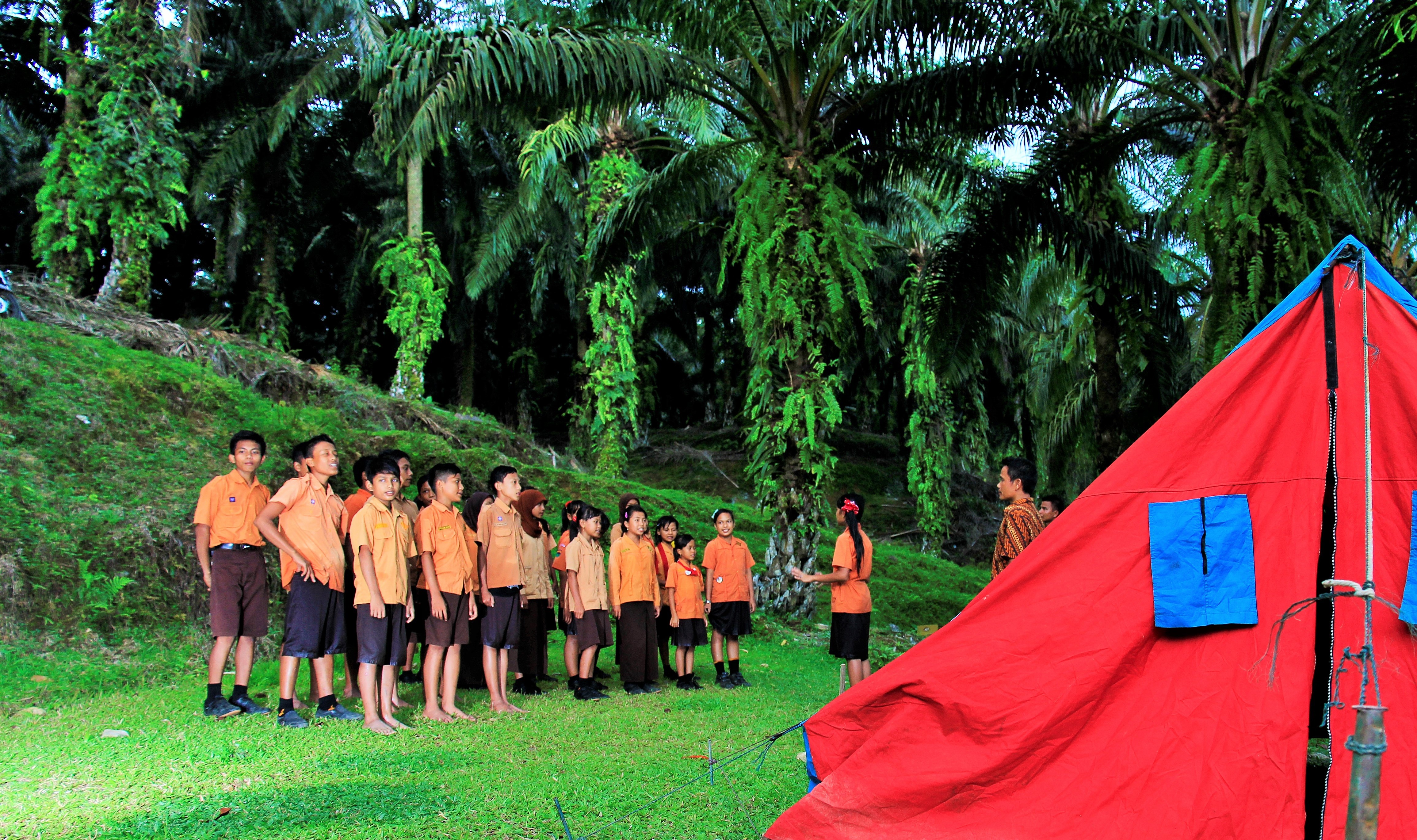 A School Camping Trip