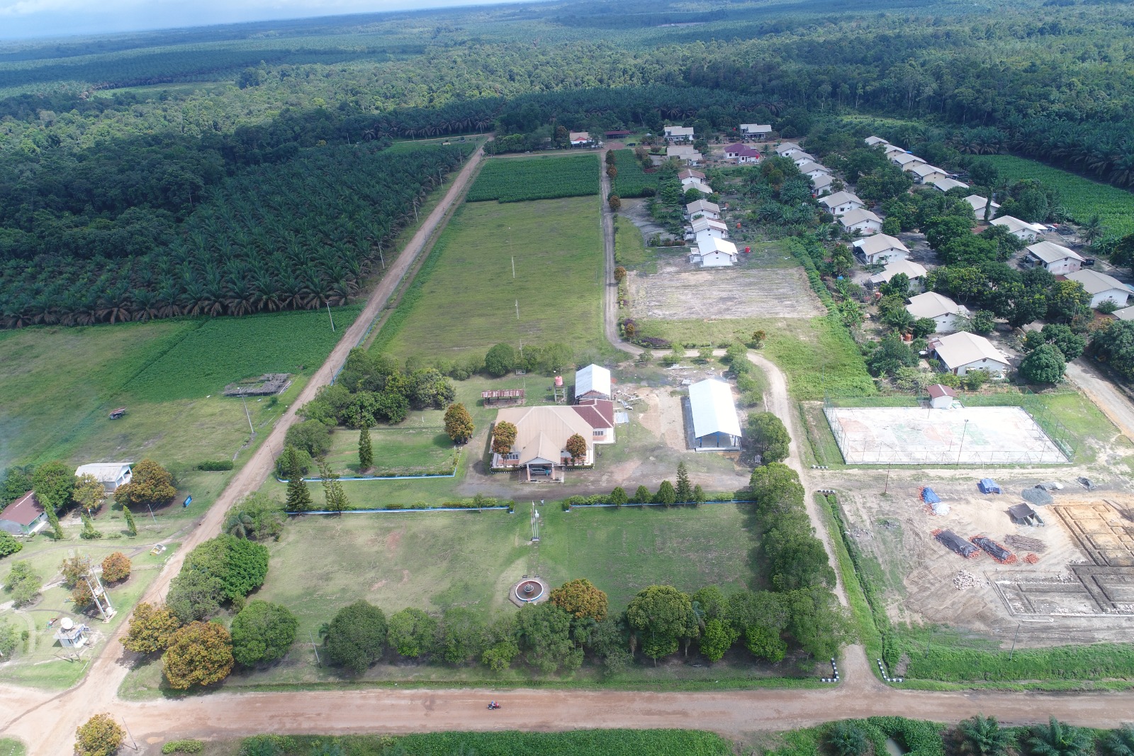 Sustainable Forest Management