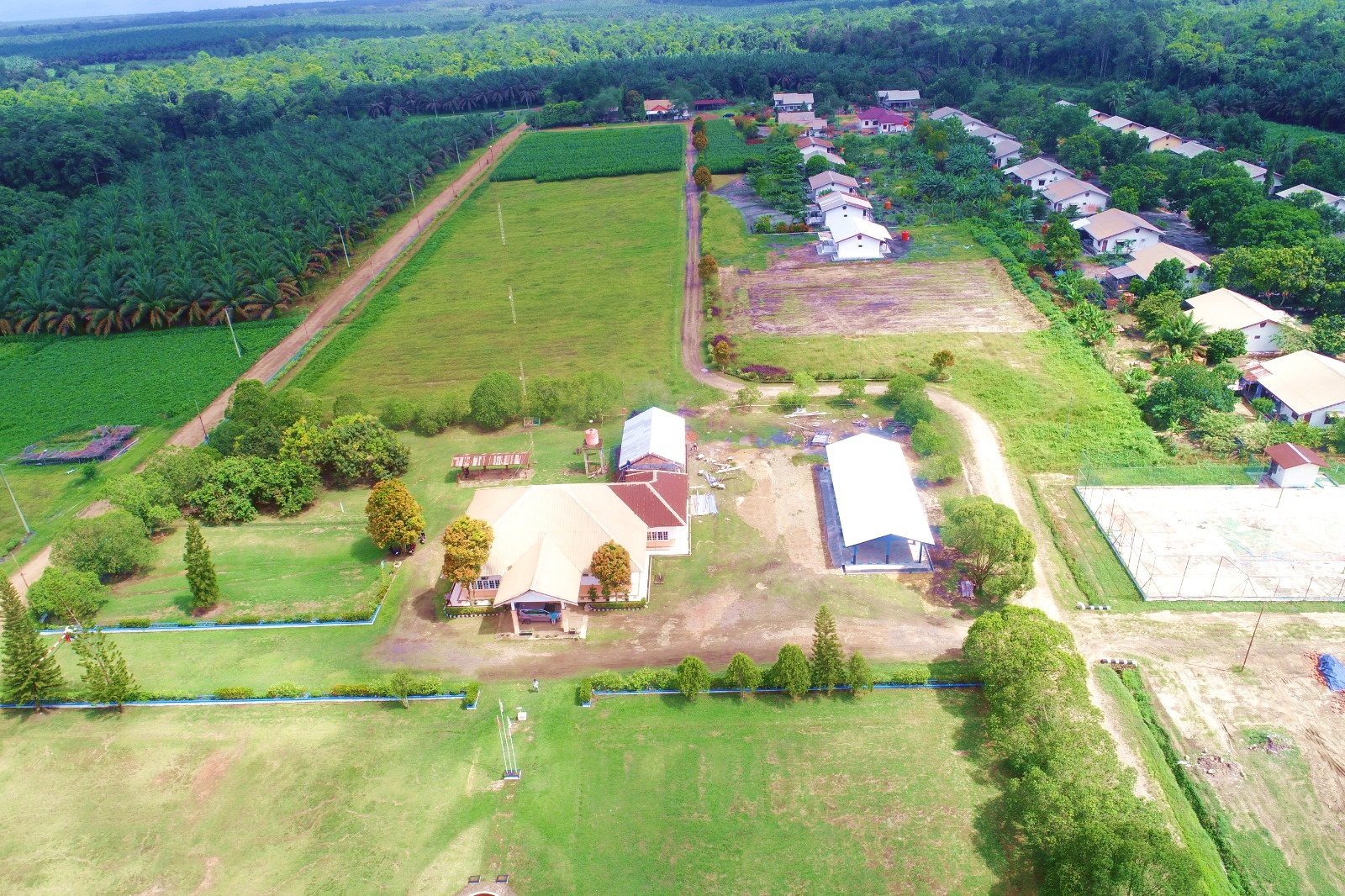 AEP Nusantara Plantations Operations