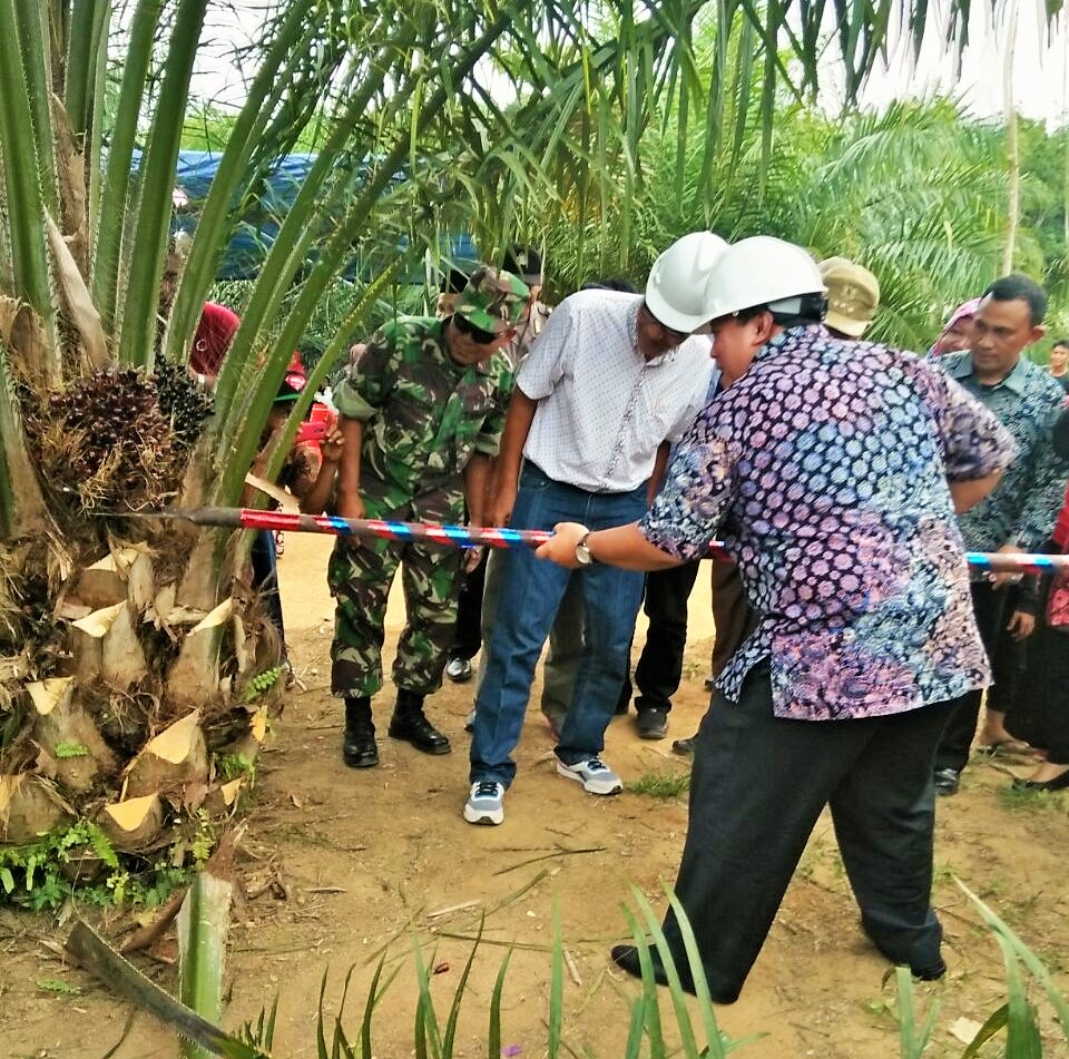 Engagement with Plasma Growers